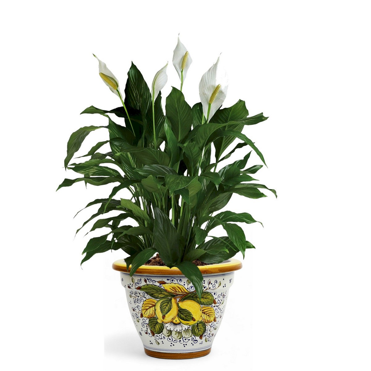 TOSCANA PLANTER: Round Tuscan planter/vase 'Campana' - Strong Terracotta indoor/outdoor freeze resistant - POSITANO Design