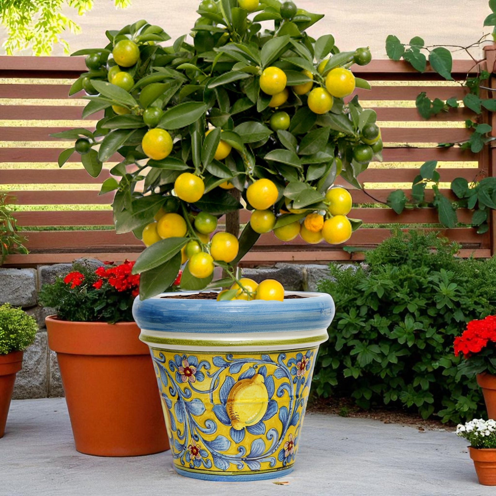TOSCANA PLANTER: Medium Round Tuscan Limoniera planter/vase 'Conca' - Strong Terracotta indoor/outdoor freeze resistant - CAPRI Design