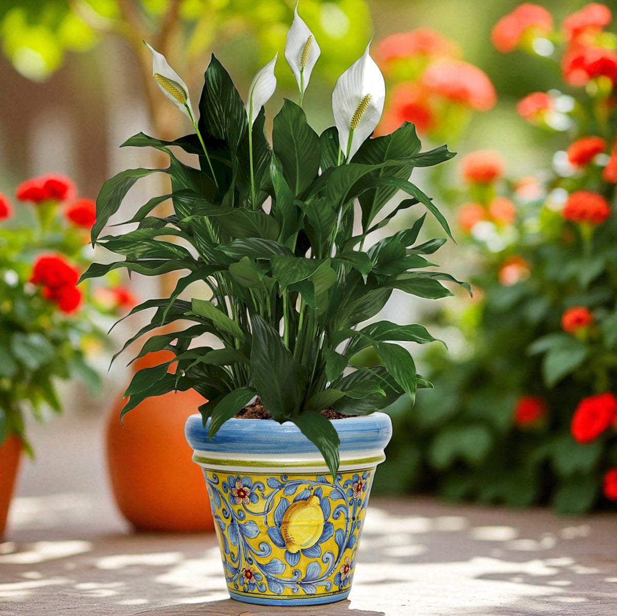 TOSCANA PLANTER: Medium Round Tuscan Limoniera planter/vase 'Conca' - Strong Terracotta indoor/outdoor freeze resistant - CAPRI Design