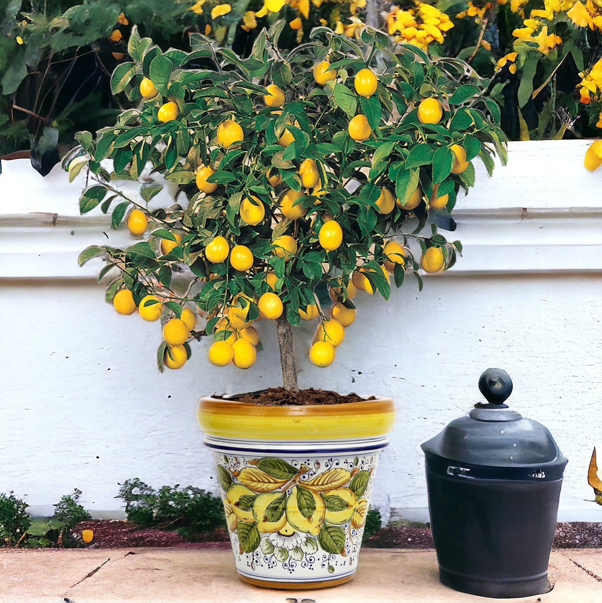 TOSCANA PLANTER: Medium Round Tuscan Limoniera planter/vase 'Conca' - Strong Terracotta indoor/outdoor freeze resistant - POSITANO Design