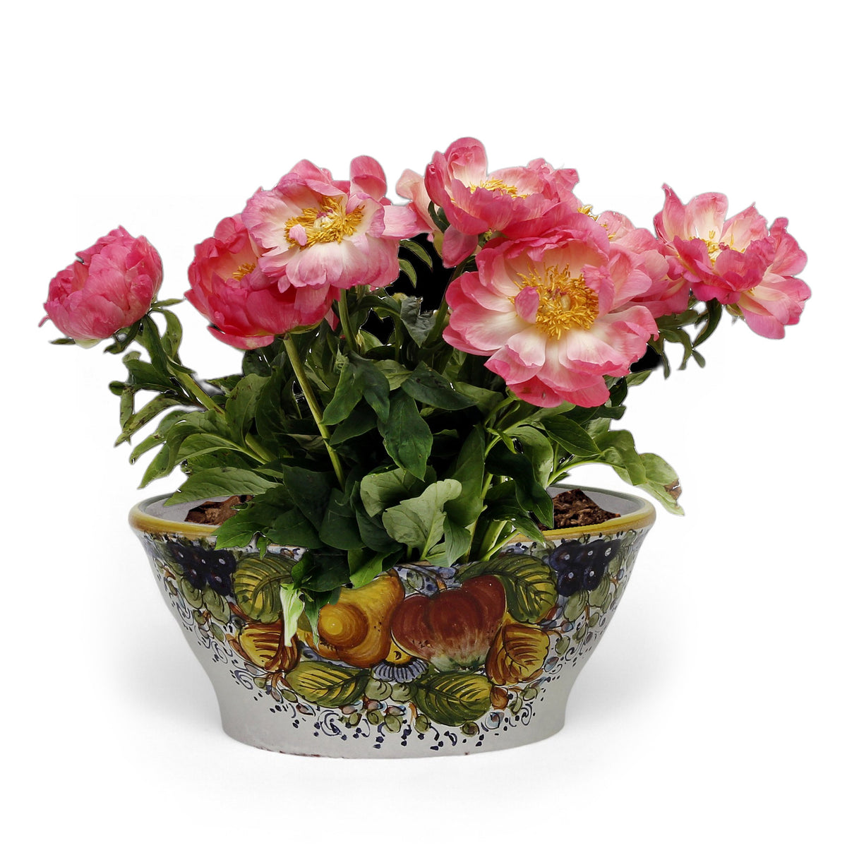 TOSCANA PLANTER CIOTOLA: Medium Round Tuscan Lown Bowl Planter 'Ciotolone' - Strong Terracotta indoor/outdoor freeze resistant - FRUTTA Design