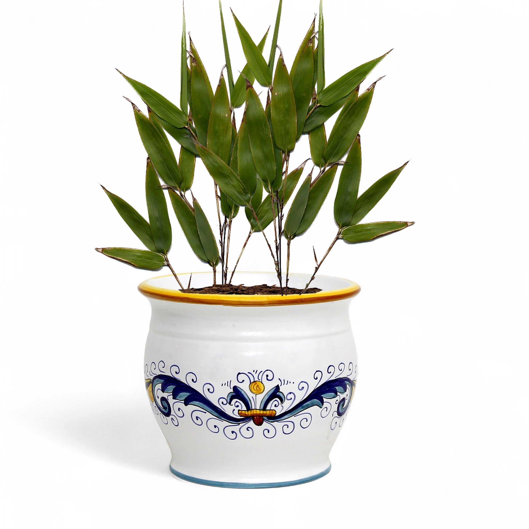 RICCO DERUTA: Outlet Special! Indoor-Outdoor Cachepot/Planter (Small)