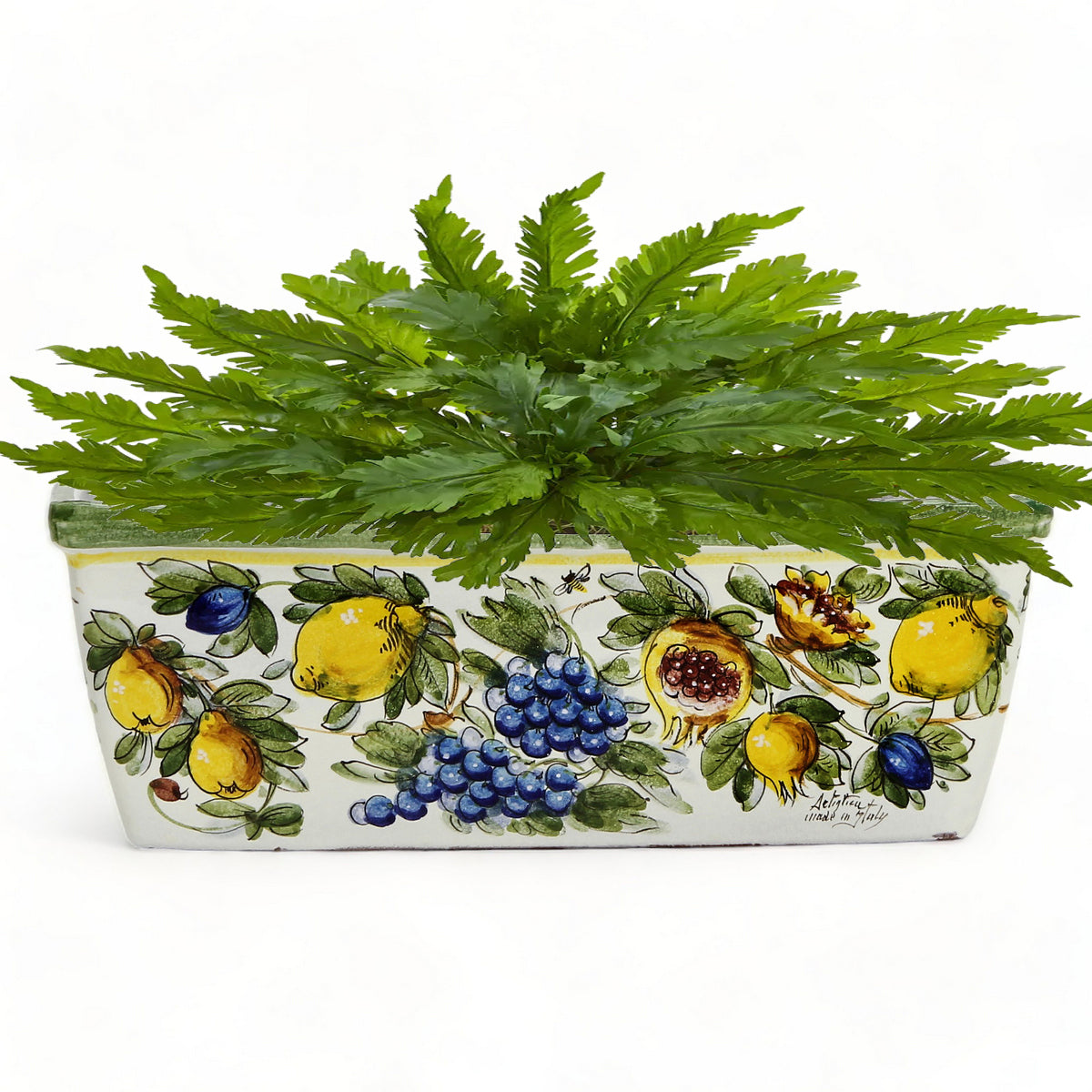 TOSCANA PLANTER: Rectangular Tuscan Jardiniere - Strong Terracotta indoor/outdoor - Majolica Limoni Design