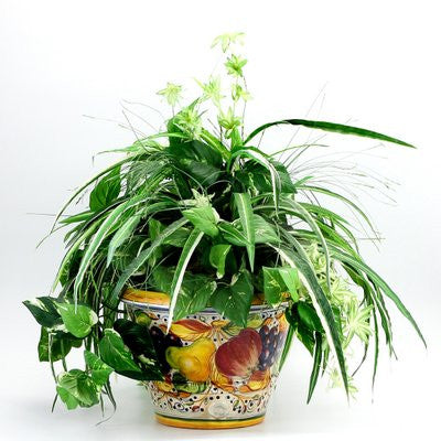 FRUTTA: Round cachepot (Small) - tops-selection.shop