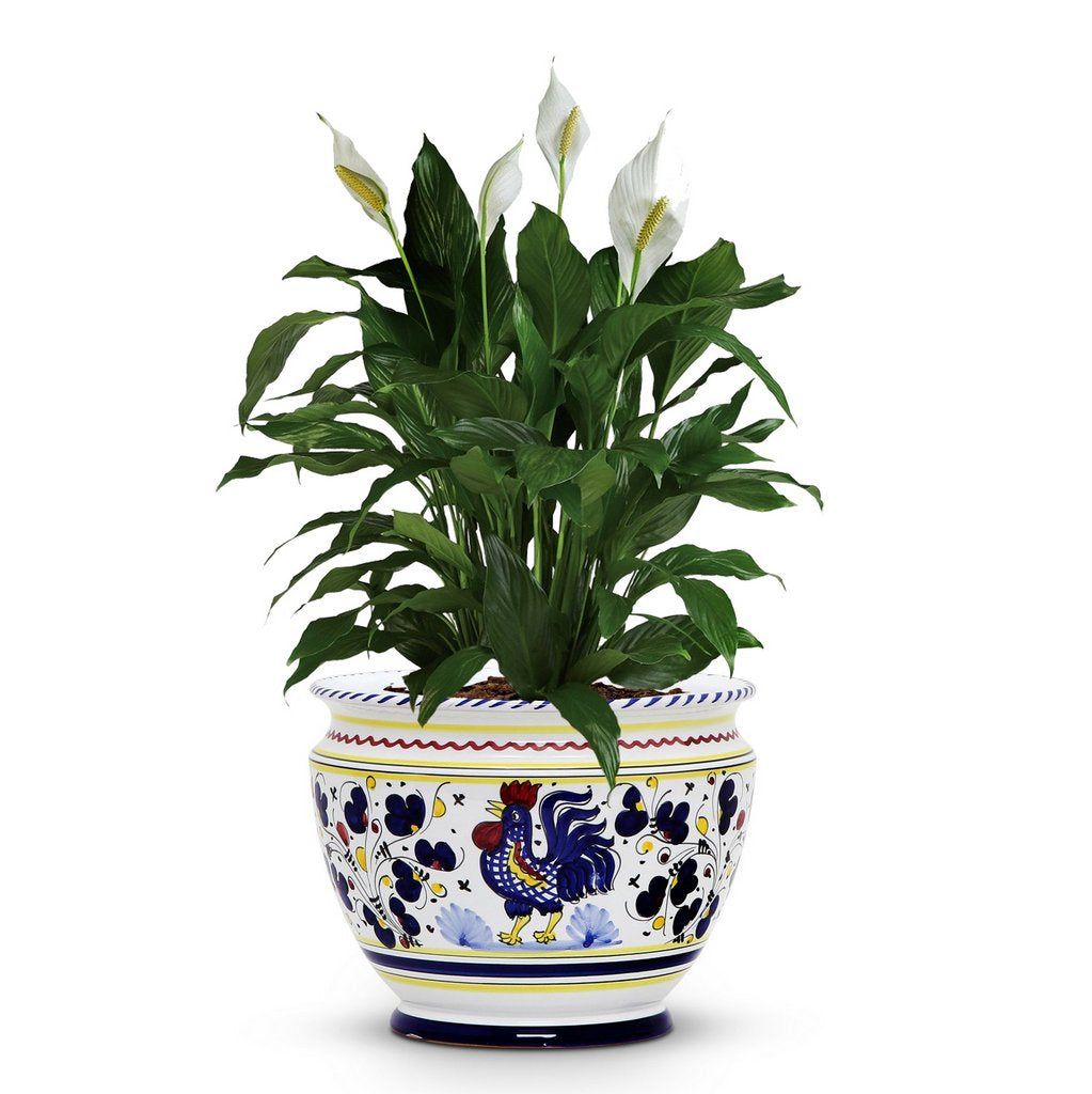 ORVIETO BLUE ROOSTER: Luxury Cachepot Planter Small - tops-selection.shop