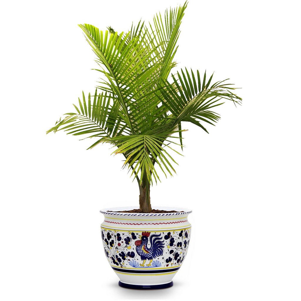 ORVIETO BLUE ROOSTER: Luxury Cachepot Planter Large - tops-selection.shop