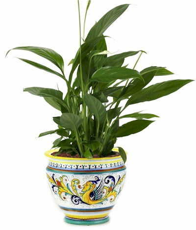 RAFFAELLESCO: Luxury Cachepot Planter LARGE - tops-selection.shop
