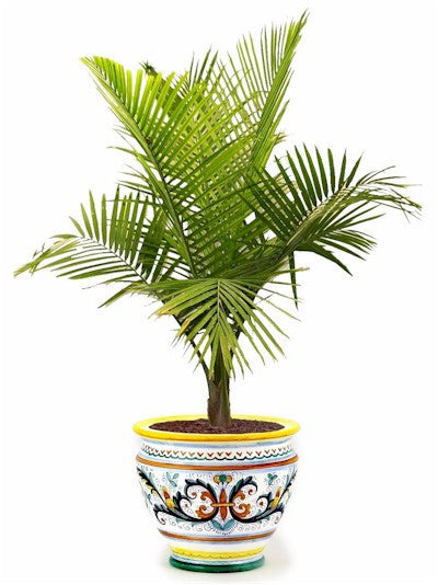 RICCO DERUTA: Luxury Cachepot Planter LARGE - tops-selection.shop