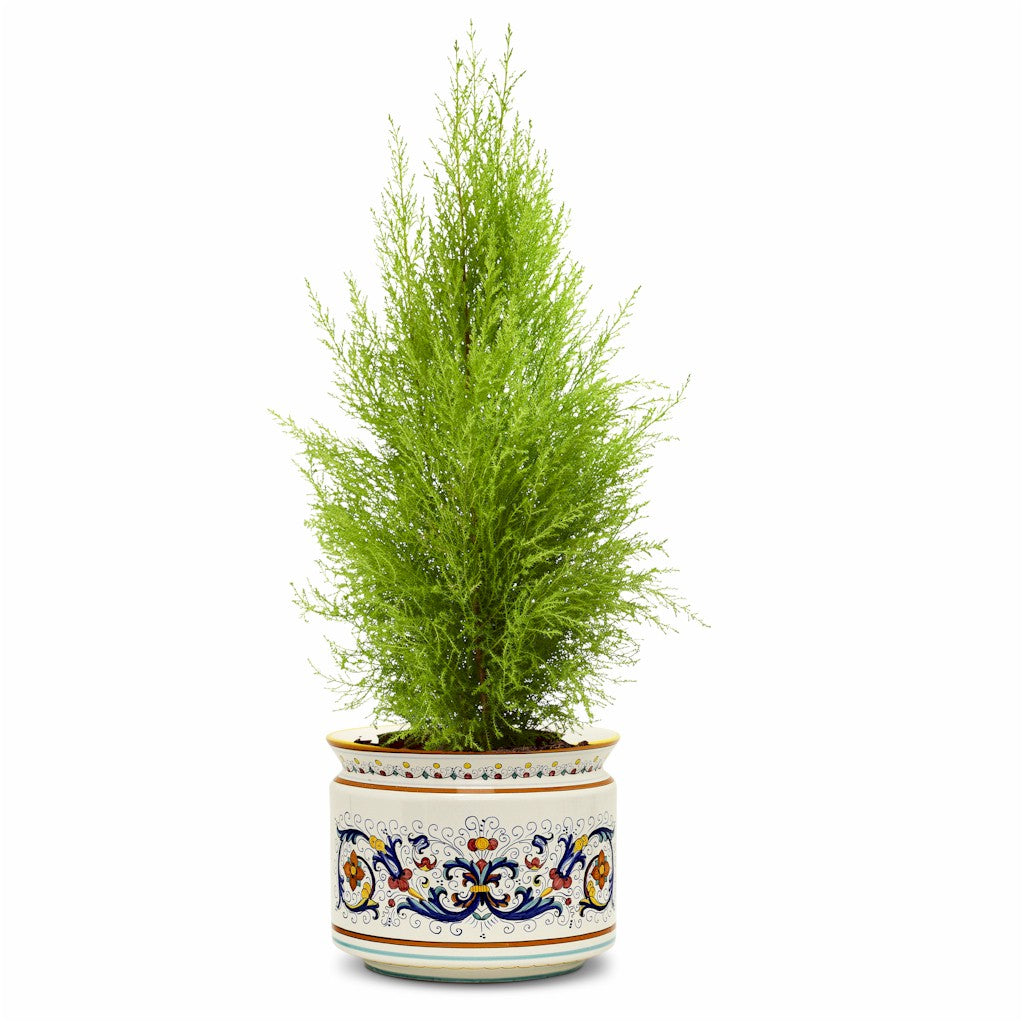 RICCO DERUTA: Cylindrical Cover Pot Ricco Deruta Design - Cachepot Planter (Large) - tops-selection.shop